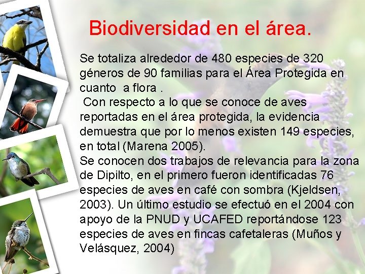 Biodiversidad en el área. Se totaliza alrededor de 480 especies de 320 géneros de