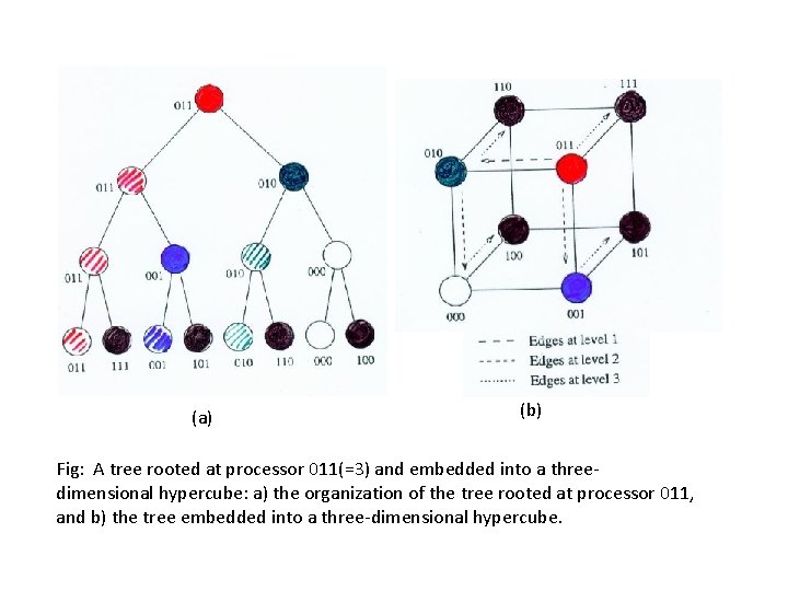 (a) (b) Fig: A tree rooted at processor 011(=3) and embedded into a threedimensional