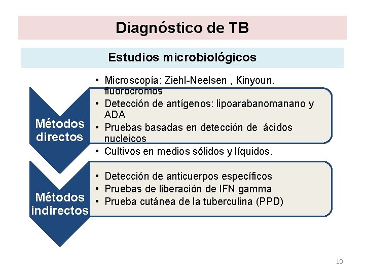 Diagnóstico de TB Estudios microbiológicos • Microscopía: Ziehl-Neelsen , Kinyoun, fluorocromos • Detección de Diagnóstico de TB Estudios microbiológicos • Microscopía: Ziehl-Neelsen , Kinyoun, fluorocromos • Detección de