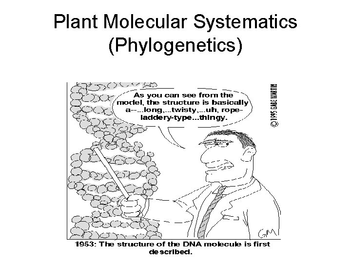 Plant Molecular Systematics (Phylogenetics) 