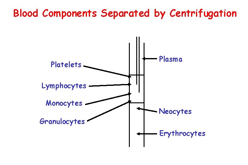 Plasmapheresis Basic Principles Stuart L Goldstein Assistant Professor