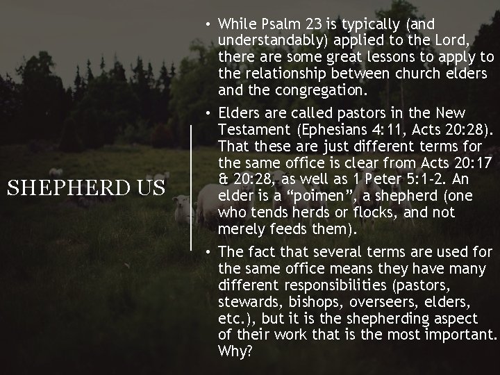 SHEPHERD US • While Psalm 23 is typically (and understandably) applied to the Lord,