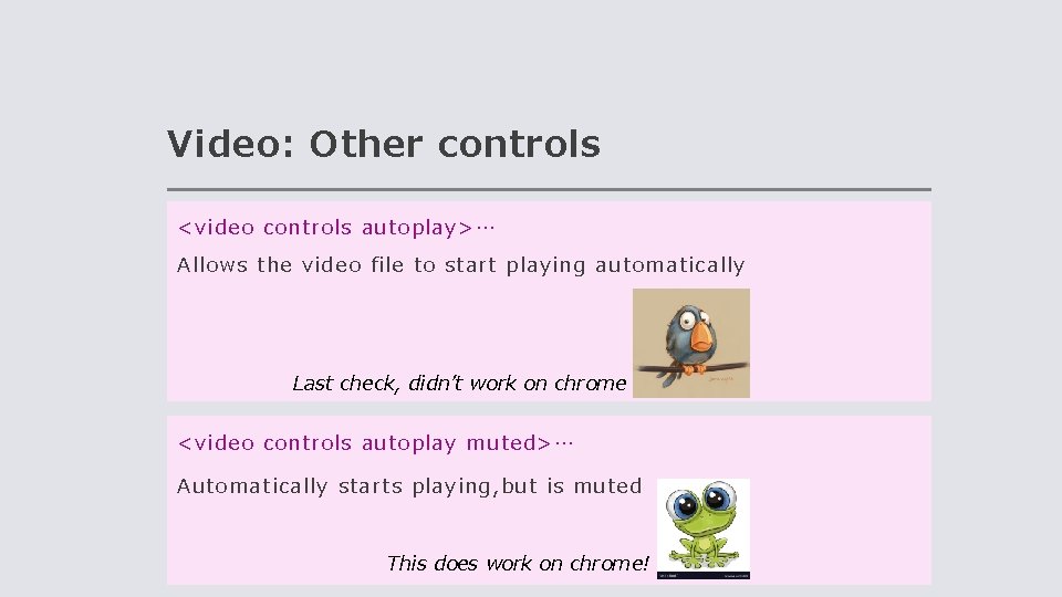 Video: Other controls <video controls autoplay>… Allows the video file to start playing automatically