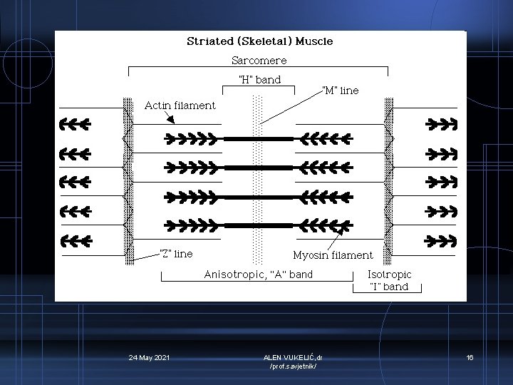 24 May 2021 ALEN VUKELIĆ, dr /prof. savjetnik/ 16 