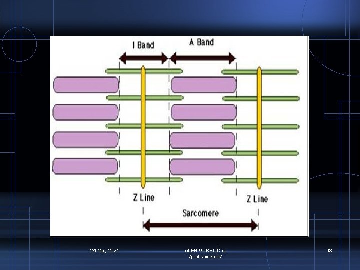 24 May 2021 ALEN VUKELIĆ, dr /prof. savjetnik/ 18 