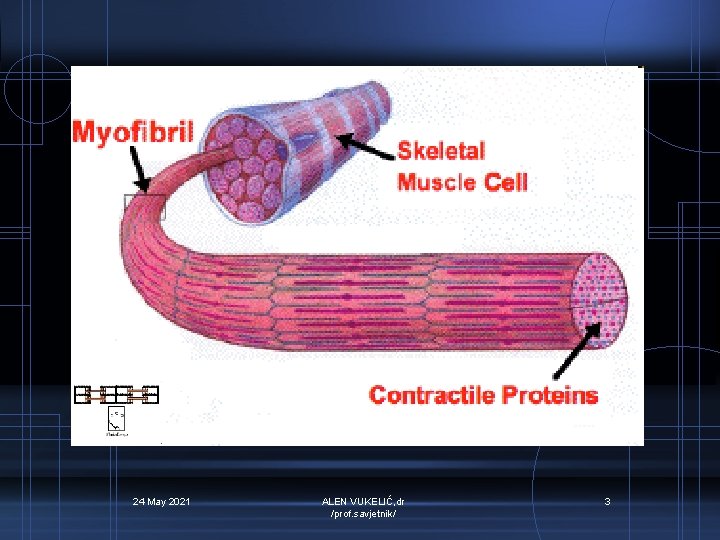 24 May 2021 ALEN VUKELIĆ, dr /prof. savjetnik/ 3 