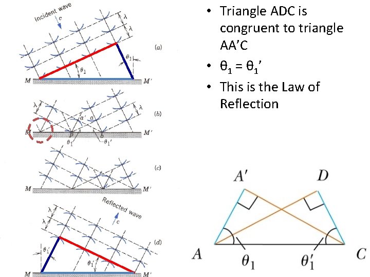  • Triangle ADC is congruent to triangle AA’C • θ 1 = θ