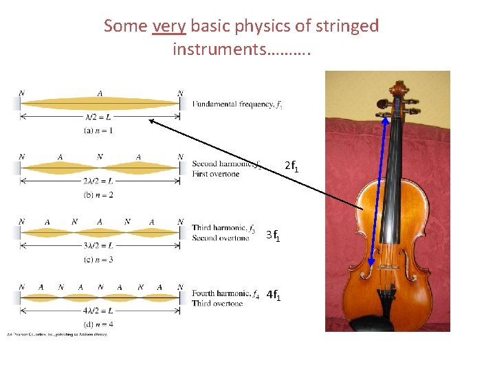 Some very basic physics of stringed instruments………. 2 f 1 3 f 1 4
