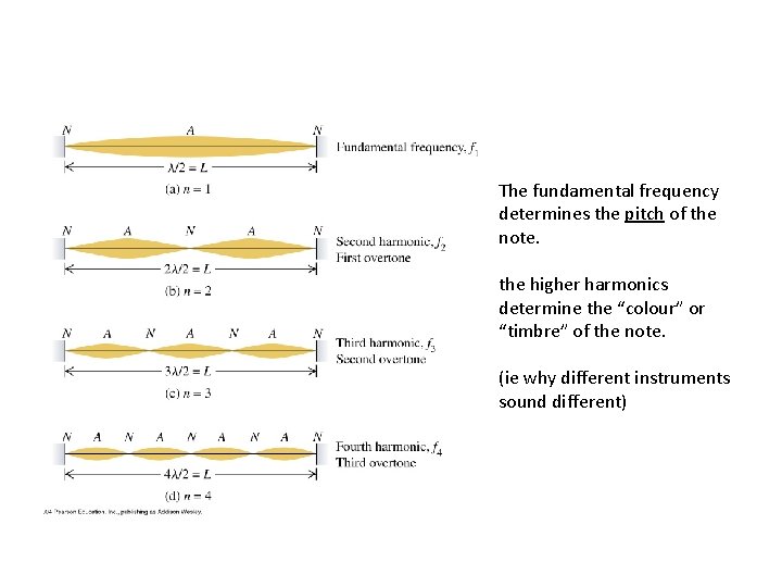 The fundamental frequency determines the pitch of the note. the higher harmonics determine the