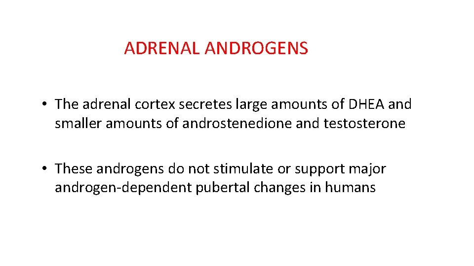 ADRENAL ANDROGENS • The adrenal cortex secretes large amounts of DHEA and smaller amounts