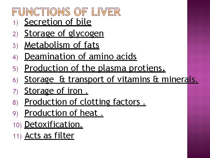 Secretion of bile 2) Storage of glycogen 3) Metabolism of fats 4) Deamination of
