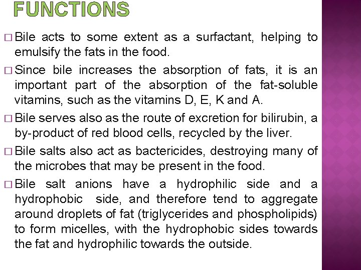 FUNCTIONS � Bile acts to some extent as a surfactant, helping to emulsify the