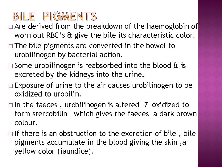 � Are derived from the breakdown of the haemoglobin of worn out RBC’s &