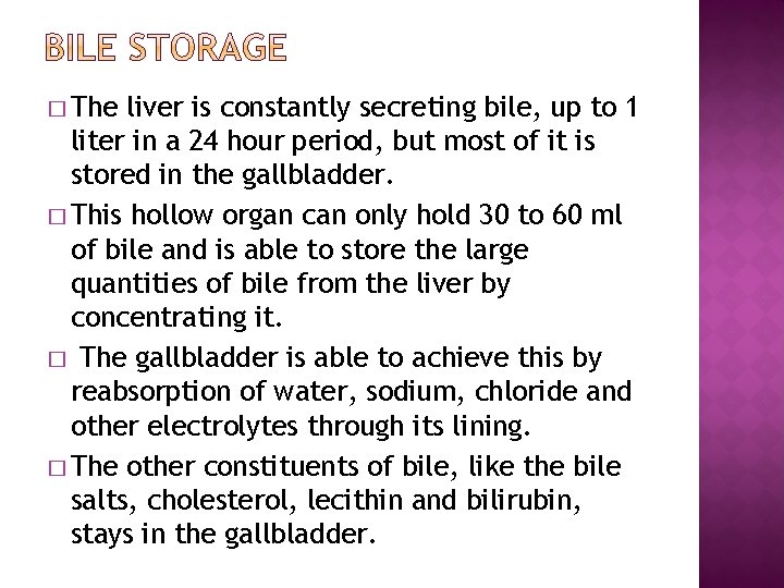 � The liver is constantly secreting bile, up to 1 liter in a 24