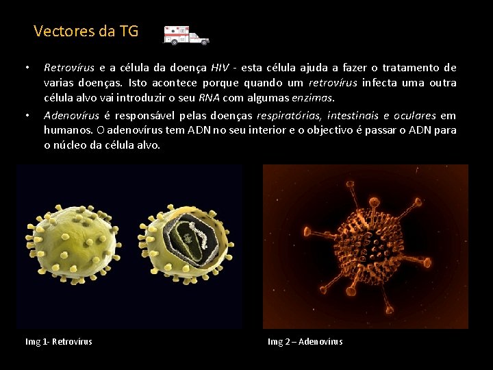 Vectores da TG • • Retrovírus e a célula da doença HIV - esta