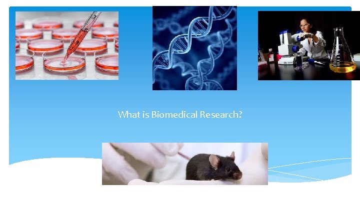 What is Biomedical Research? 