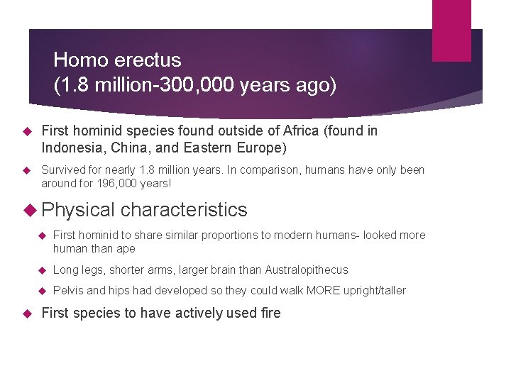 Homo erectus (1. 8 million-300, 000 years ago) First hominid species found outside of