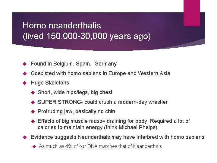 Homo neanderthalis (lived 150, 000 -30, 000 years ago) Found in Belgium, Spain, Germany