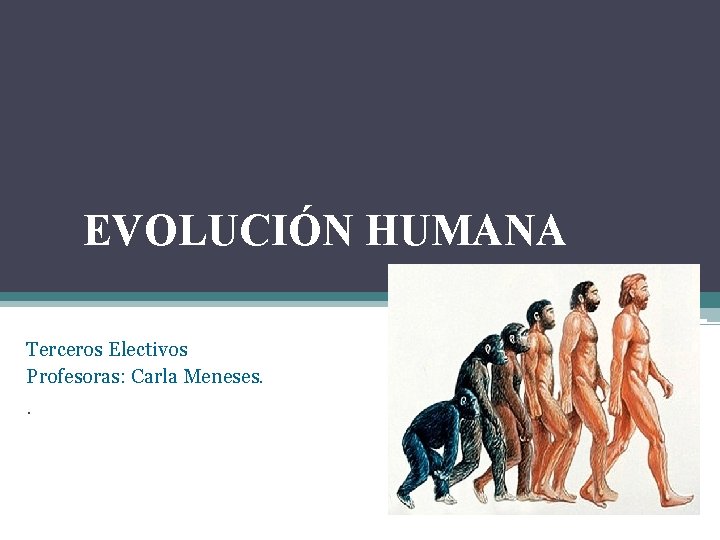 EVOLUCIÓN HUMANA Terceros Electivos Profesoras: Carla Meneses. . 