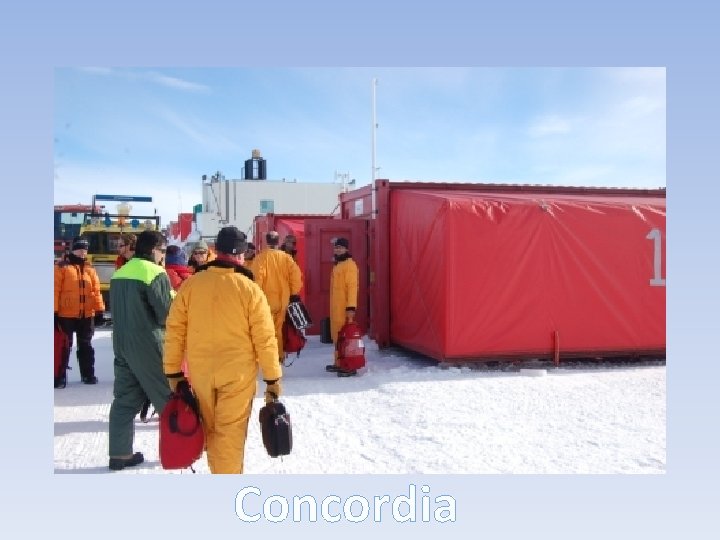 Concordia 