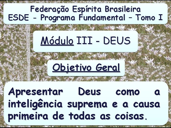 Federação Espírita Brasileira ESDE - Programa Fundamental – Tomo I Módulo III - DEUS