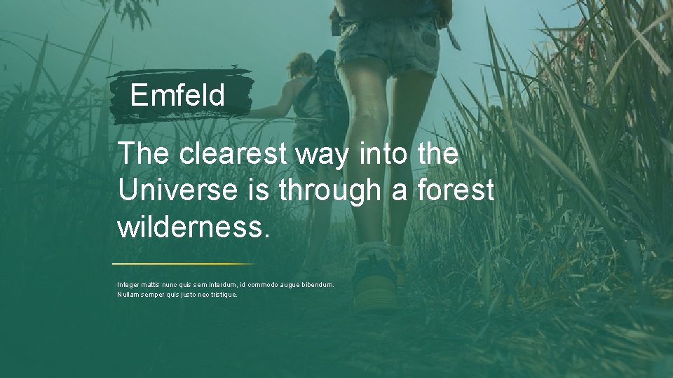 Emfeld The clearest way into the Universe is through a forest wilderness. Integer mattis