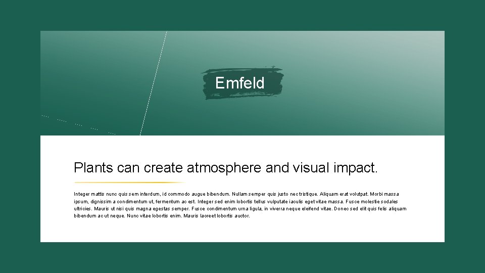 Emfeld Plants can create atmosphere and visual impact. Integer mattis nunc quis sem interdum,