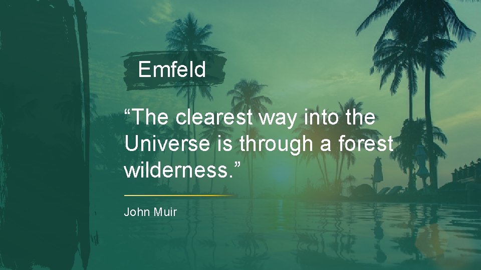 Emfeld “The clearest way into the Universe is through a forest wilderness. ” John