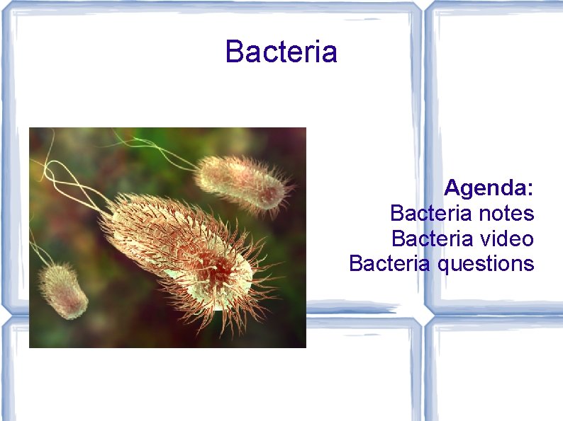Bacteria Agenda: Bacteria notes Bacteria video Bacteria questions 