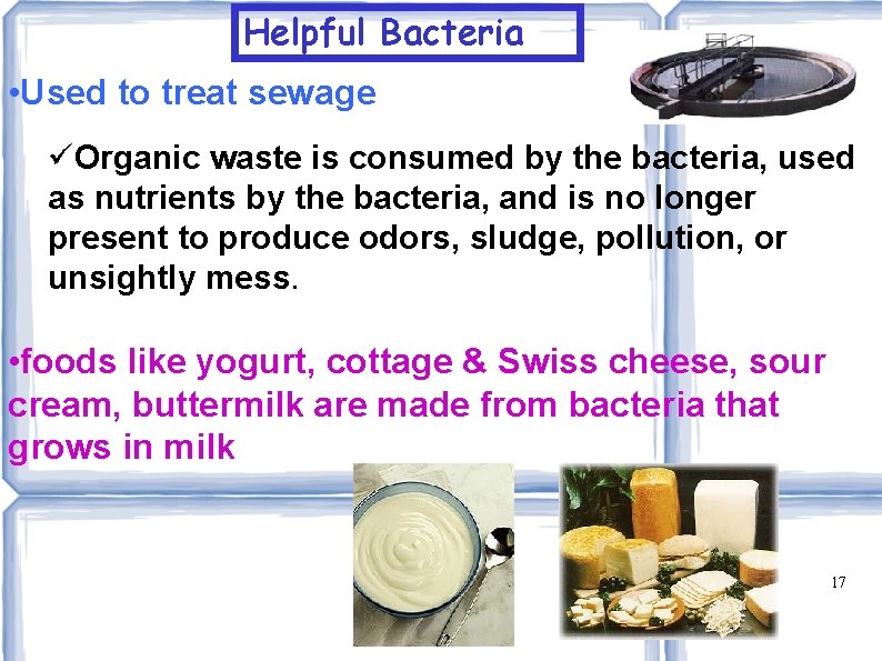 Helpful Bacteria • Used to treat sewage Organic waste is consumed by the bacteria,