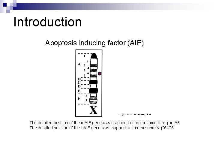 Introduction Apoptosis inducing factor (AIF) E. Daugas et al. /FEBS Letters 476 (2000) 118
