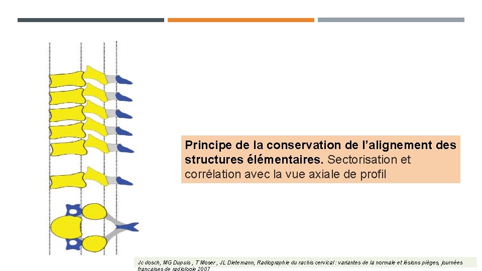 Principe de la conservation de l’alignement des structures élémentaires. Sectorisation et corrélation avec la Principe de la conservation de l’alignement des structures élémentaires. Sectorisation et corrélation avec la