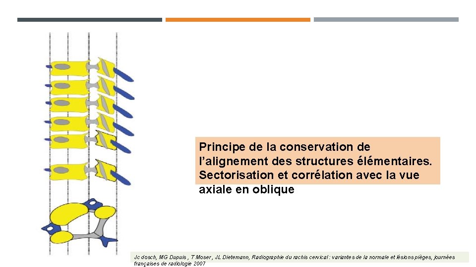 Principe de la conservation de l’alignement des structures élémentaires. Sectorisation et corrélation avec la Principe de la conservation de l’alignement des structures élémentaires. Sectorisation et corrélation avec la