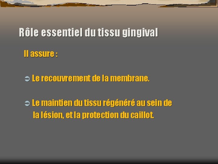 Rôle essentiel du tissu gingival Il assure : Ü Le recouvrement de la membrane.