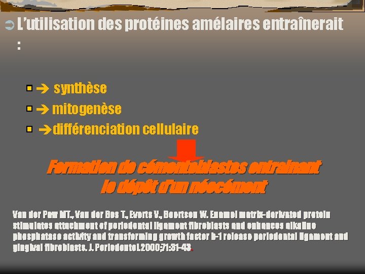 Ü L’utilisation des protéines amélaires entraînerait : synthèse mitogenèse différenciation cellulaire Formation de cémentoblastes