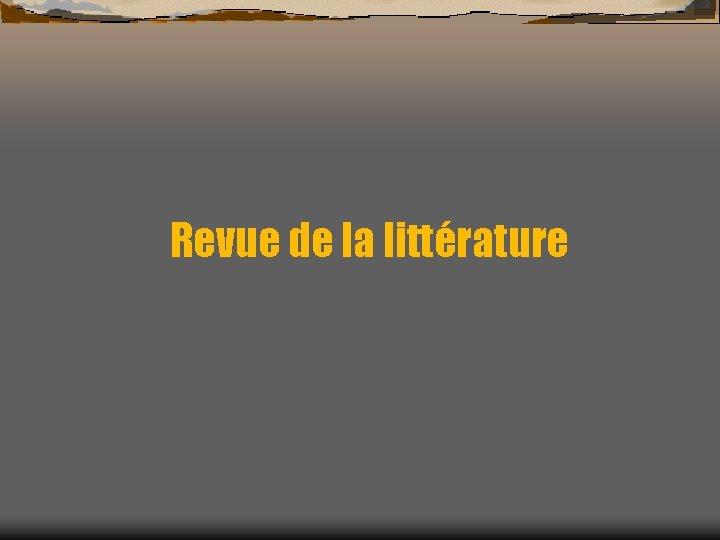 Revue de la littérature 