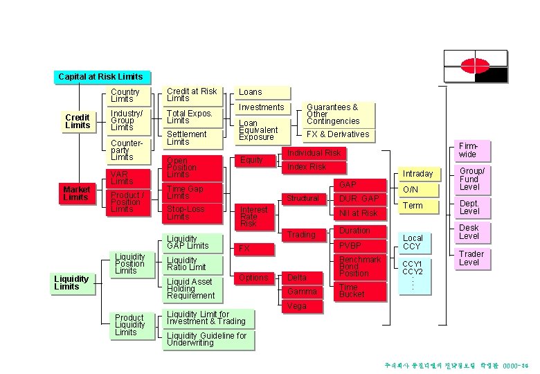 Limit Structure (Example) Capital at Risk Limits Credit Limits Country Limits Credit at Risk Limit Structure (Example) Capital at Risk Limits Credit Limits Country Limits Credit at Risk