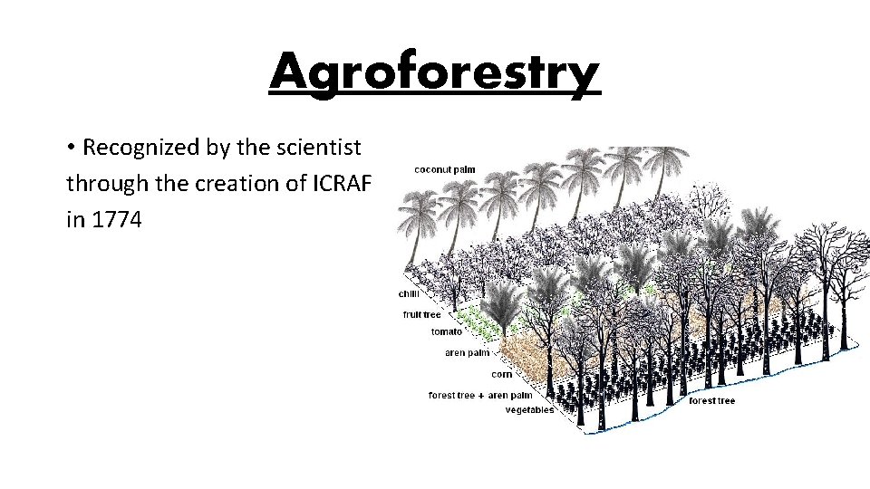 Agroforestry • Recognized by the scientist through the creation of ICRAF in 1774 