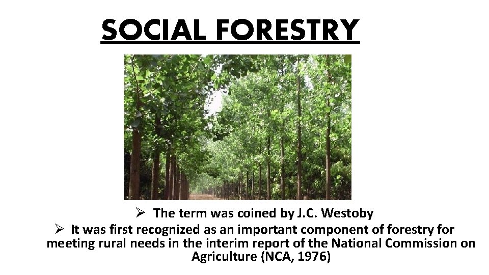 SOCIAL FORESTRY Ø The term was coined by J. C. Westoby Ø It was