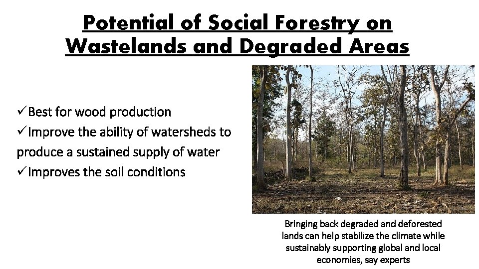 Potential of Social Forestry on Wastelands and Degraded Areas üBest for wood production üImprove