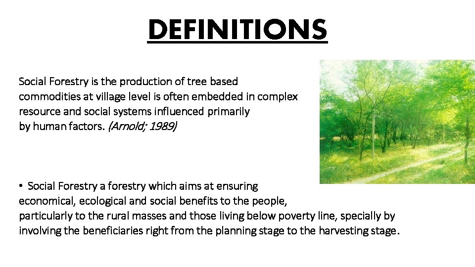 DEFINITIONS Social Forestry is the production of tree based commodities at village level is