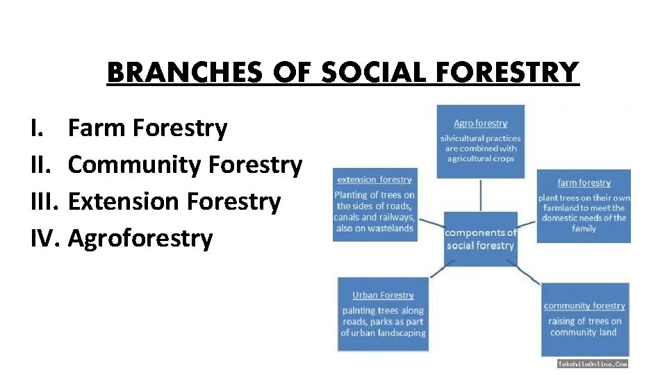 BRANCHES OF SOCIAL FORESTRY I. Farm Forestry II. Community Forestry III. Extension Forestry IV.