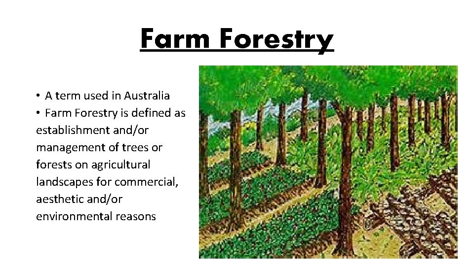 Farm Forestry • A term used in Australia • Farm Forestry is defined as