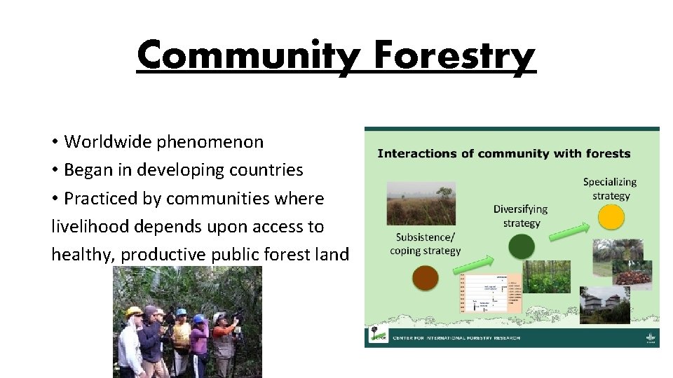 Community Forestry • Worldwide phenomenon • Began in developing countries • Practiced by communities