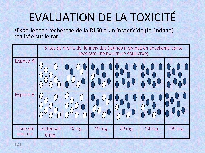 EVALUATION DE LA TOXICITÉ • Expérience : recherche de la DL 50 d’un insecticide