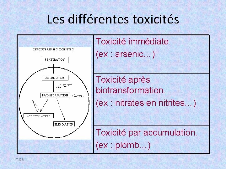 Les différentes toxicités Toxicité immédiate. (ex : arsenic…) Toxicité après biotransformation. (ex : nitrates