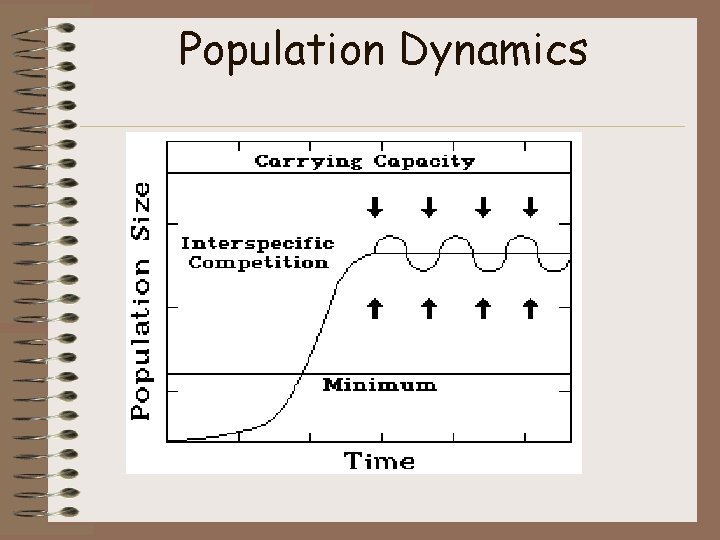 Population Dynamics 