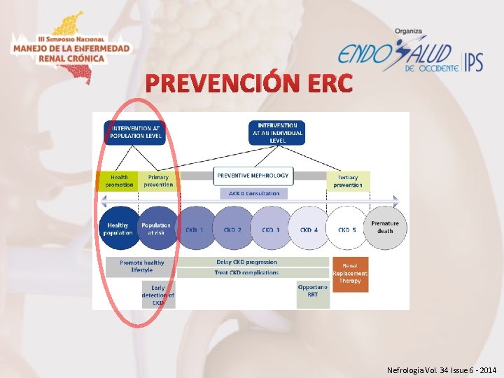 PREVENCIÓN ERC Nefrología Vol. 34 Issue 6 - 2014 