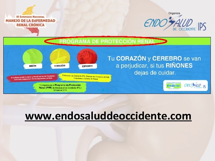 www. endosaluddeoccidente. com 