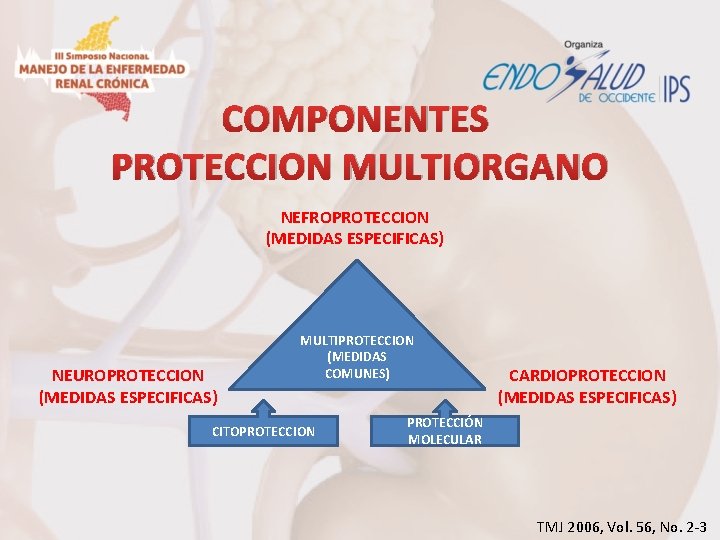 COMPONENTES PROTECCION MULTIORGANO NEFROPROTECCION (MEDIDAS ESPECIFICAS) NEUROPROTECCION (MEDIDAS ESPECIFICAS) MULTIPROTECCION (MEDIDAS COMUNES) CITOPROTECCION CARDIOPROTECCION